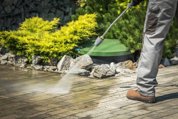 Best Building Exterior Washing  in East Aurora, NY