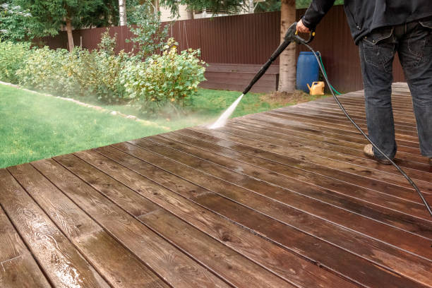 Best Soft Washing  in East Aurora, NY