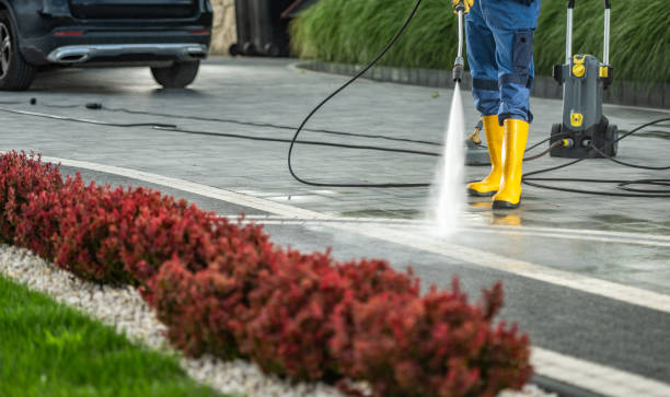 Best Roof Washing  in East Aurora, NY